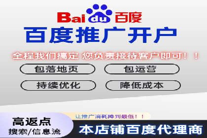案例剖析：百度SEO推广公司如何助力企业飞速发展